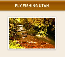 FLY FISHING UTAH